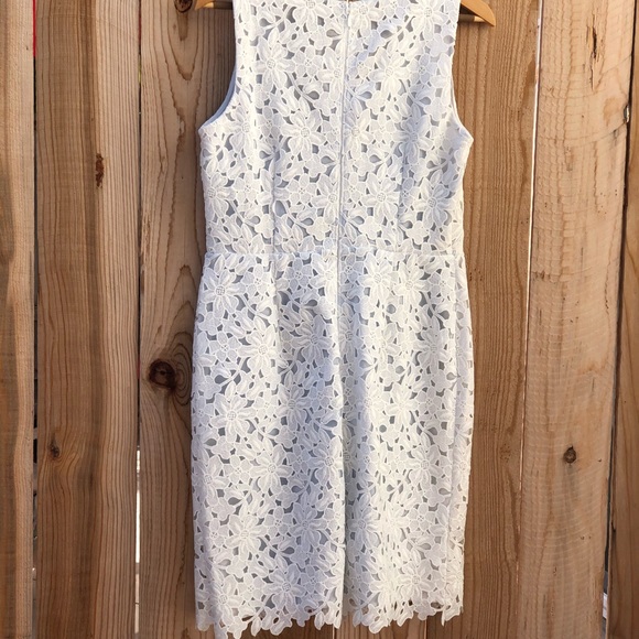 HP LOFT Lace Dress with Pale Blue Underlay NWT Women’s Size 8P - Picture 3 of 9